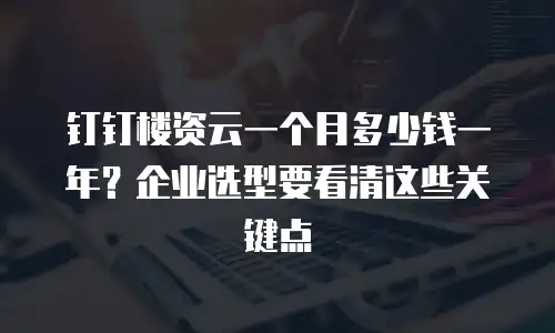 钉钉楼资云一个月多少钱一年？企业选型要看清这些关键点