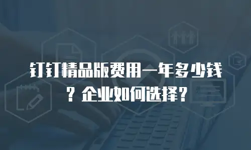 钉钉精品版费用一年多少钱？企业如何选择？