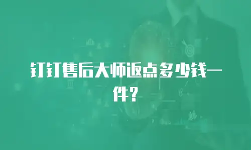钉钉售后大师返点多少钱一件？