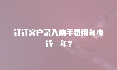 钉钉客户录入助手费用多少钱一年？