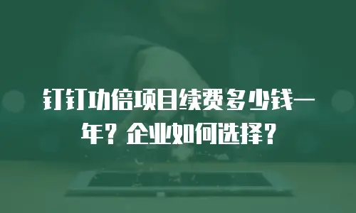 钉钉功倍项目续费多少钱一年？企业如何选择？