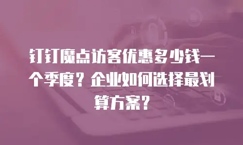 钉钉魔点访客优惠多少钱一个季度？企业如何选择最划算方案？