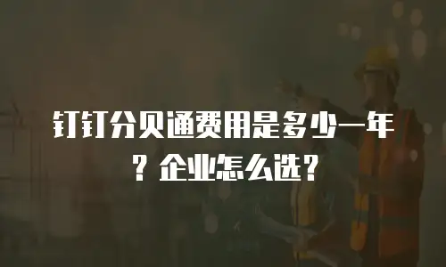 钉钉分贝通费用是多少一年？企业怎么选？