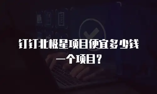 钉钉北极星项目便宜多少钱一个项目？