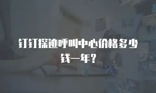 钉钉探迹呼叫中心价格多少钱一年？
