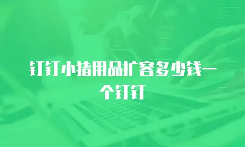 钉钉小猪用品扩容多少钱一个钉钉