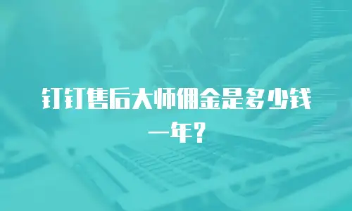 钉钉售后大师佣金是多少钱一年？