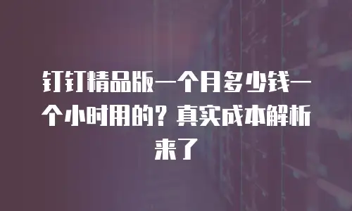 钉钉精品版一个月多少钱一个小时用的？真实成本解析来了