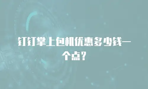 钉钉掌上包机优惠多少钱一个点？