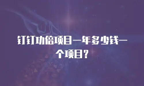 钉钉功倍项目一年多少钱一个项目？