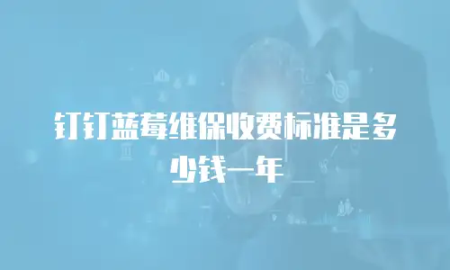 钉钉蓝莓维保收费标准是多少钱一年