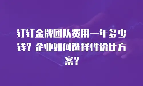 钉钉金牌团队费用一年多少钱？企业如何选择性价比方案？