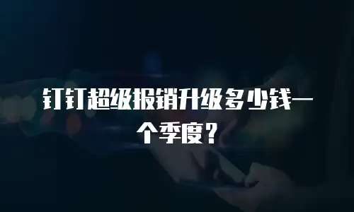 钉钉超级报销升级多少钱一个季度？