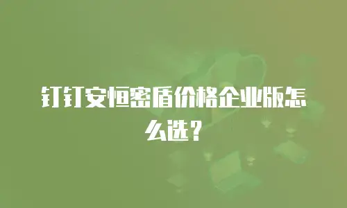 钉钉安恒密盾价格企业版怎么选？