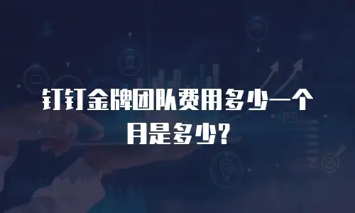 钉钉金牌团队费用多少一个月是多少？