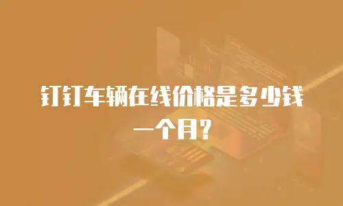 钉钉车辆在线价格是多少钱一个月？