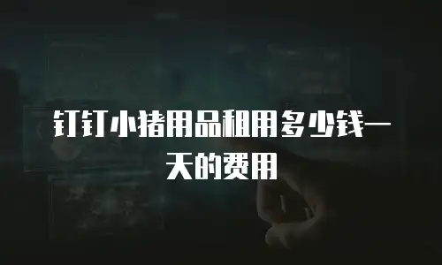 钉钉小猪用品租用多少钱一天的费用