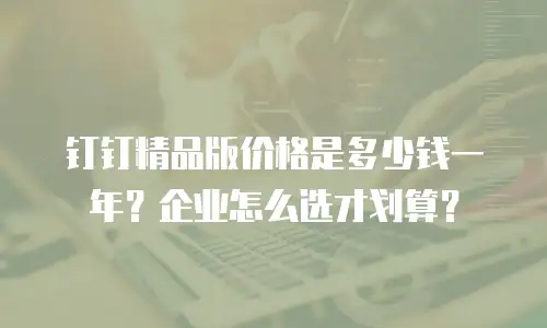 钉钉精品版价格是多少钱一年？企业怎么选才划算？