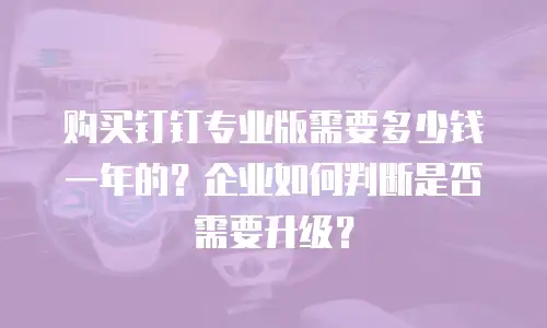 购买钉钉专业版需要多少钱一年的？企业如何判断是否需要升级？