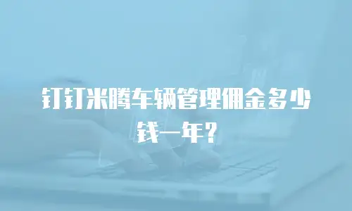 钉钉米腾车辆管理佣金多少钱一年？
