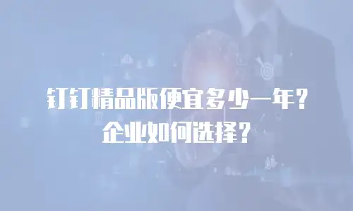 钉钉精品版便宜多少一年？企业如何选择？