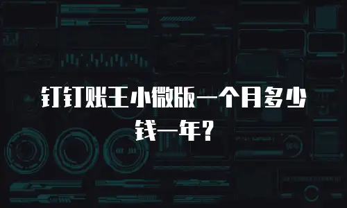 钉钉账王小微版一个月多少钱一年？