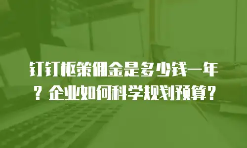 钉钉枢策佣金是多少钱一年？企业如何科学规划预算？