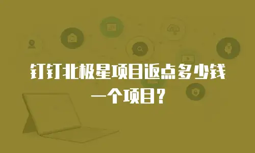钉钉北极星项目返点多少钱一个项目？