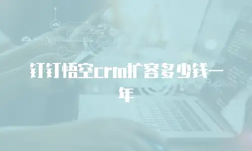 钉钉悟空crm扩容多少钱一年