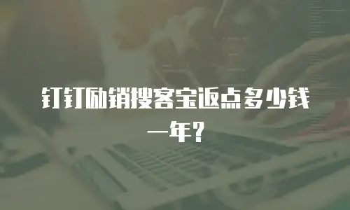 钉钉励销搜客宝返点多少钱一年？