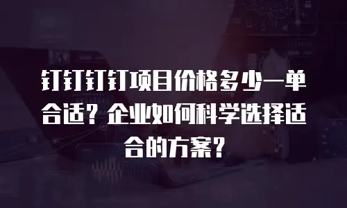 钉钉钉钉项目价格多少一单合适？企业如何科学选择适合的方案？
