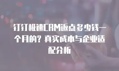 钉钉极速CRM返点多少钱一个月的？真实成本与企业适配分析
