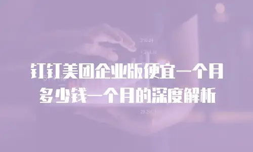 钉钉美团企业版便宜一个月多少钱一个月的深度解析