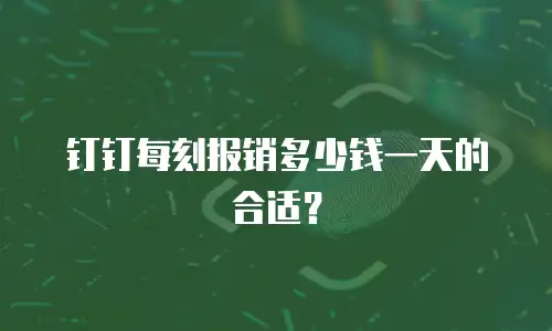 钉钉每刻报销多少钱一天的合适？