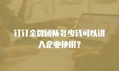 钉钉金牌团队多少钱可以进入企业使用？