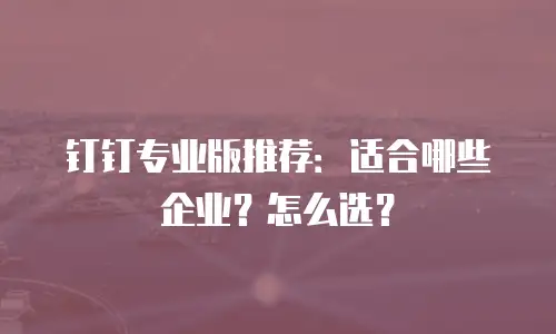 钉钉专业版推荐：适合哪些企业？怎么选？