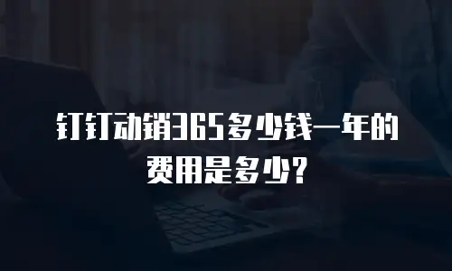 钉钉动销365多少钱一年的费用是多少？