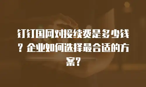 钉钉国网对接续费是多少钱？企业如何选择最合适的方案？
