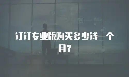 钉钉专业版购买多少钱一个月？