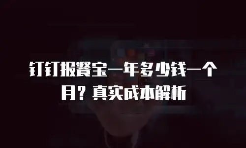 钉钉报餐宝一年多少钱一个月？真实成本解析