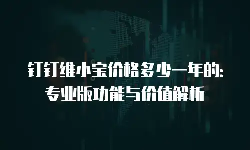 钉钉维小宝价格多少一年的：专业版功能与价值解析