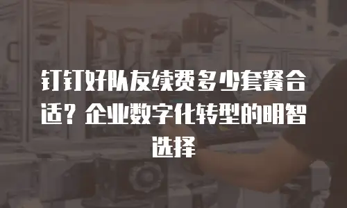 钉钉好队友续费多少套餐合适？企业数字化转型的明智选择