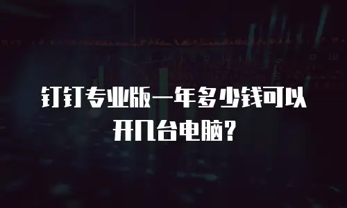 钉钉专业版一年多少钱可以开几台电脑？