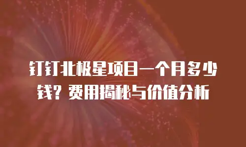 钉钉北极星项目一个月多少钱？费用揭秘与价值分析