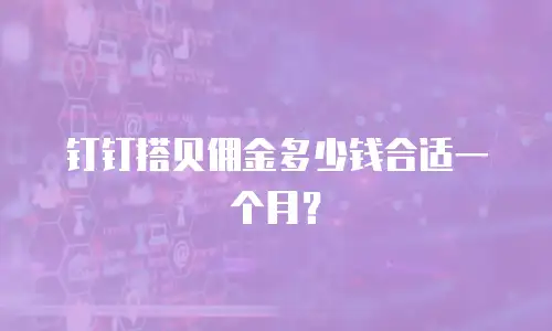 钉钉搭贝佣金多少钱合适一个月？