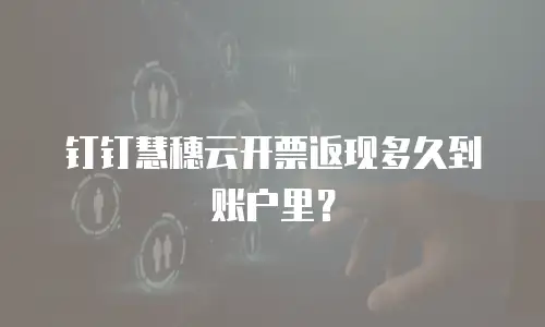 钉钉慧穗云开票返现多久到账户里？