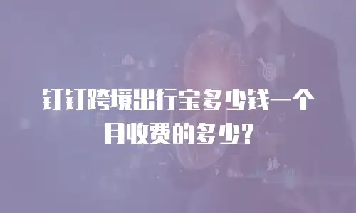 钉钉跨境出行宝多少钱一个月收费的多少？