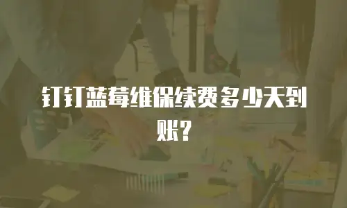 钉钉蓝莓维保续费多少天到账？