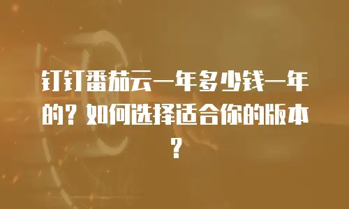 钉钉番茄云一年多少钱一年的？如何选择适合你的版本？