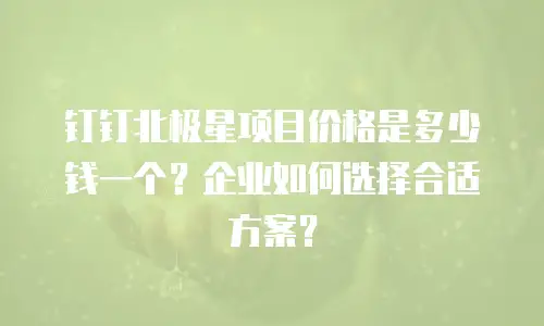钉钉北极星项目价格是多少钱一个？企业如何选择合适方案？